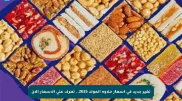 تغير جديد في أسعار حلاوة المولد 2025.. تعرف على الأسعار الآن